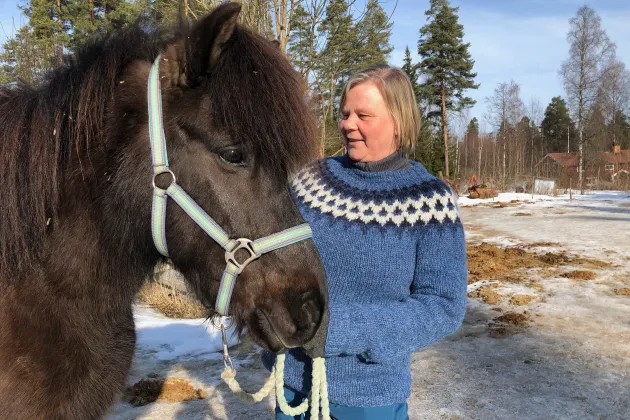 Brun häst och kvinna i blå tröja utomhus